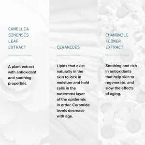 Gentle Foaming Cleanser