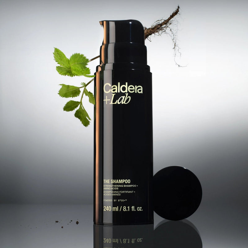 THE SHAMPOO - Shampooing fortifiant + Acides aminés