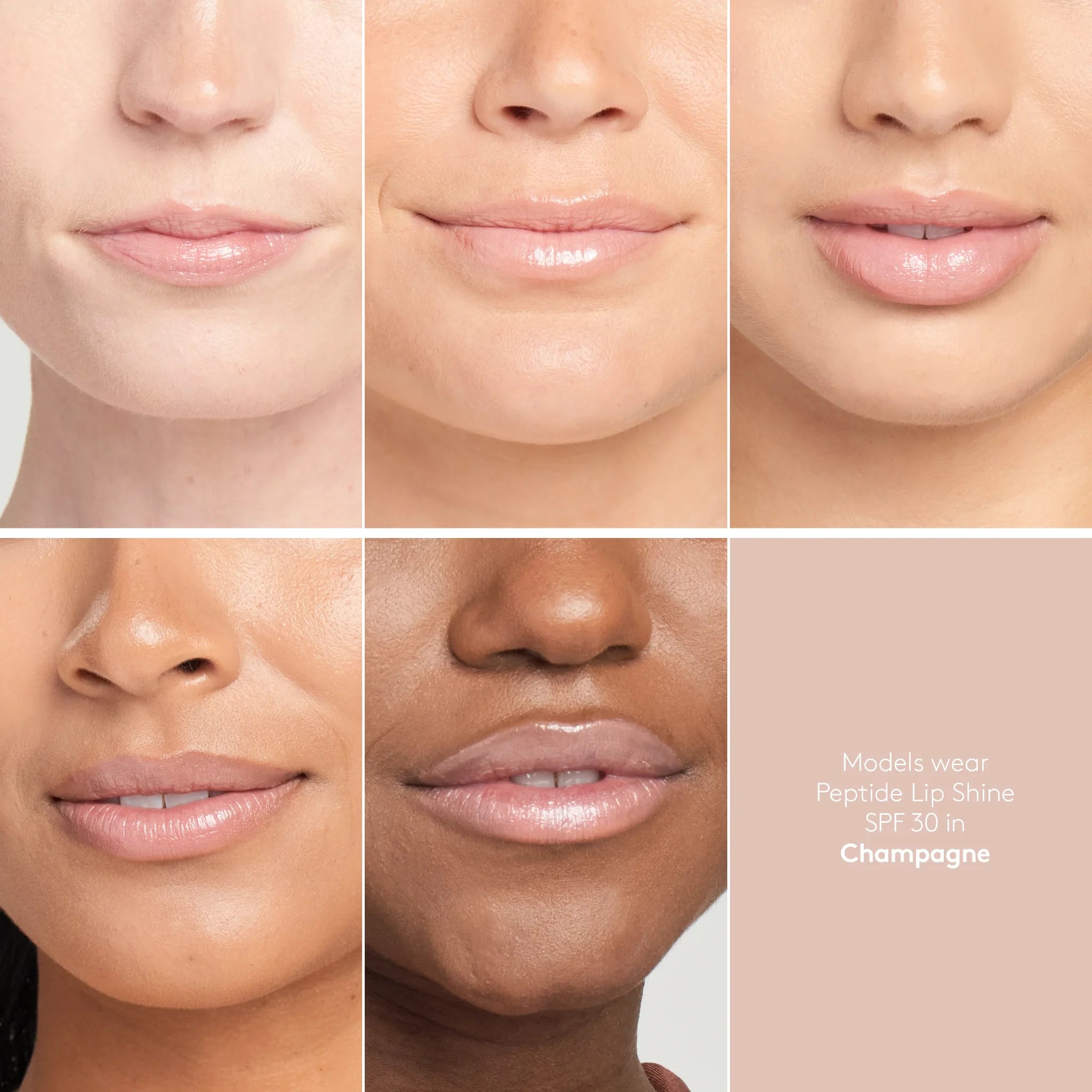 Peptide Lip Shine SPF 30
