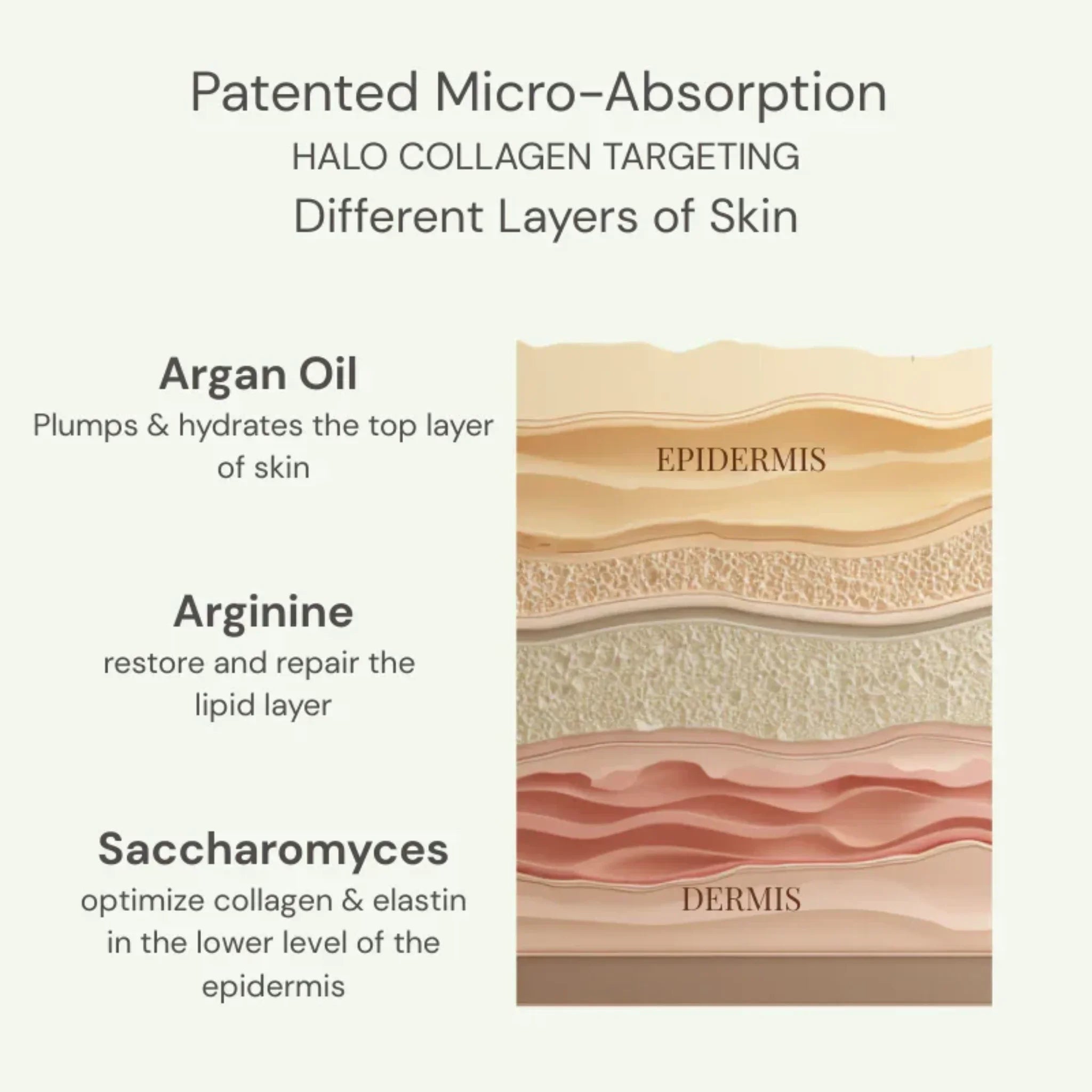 Halo Vegan Liquid Collagen