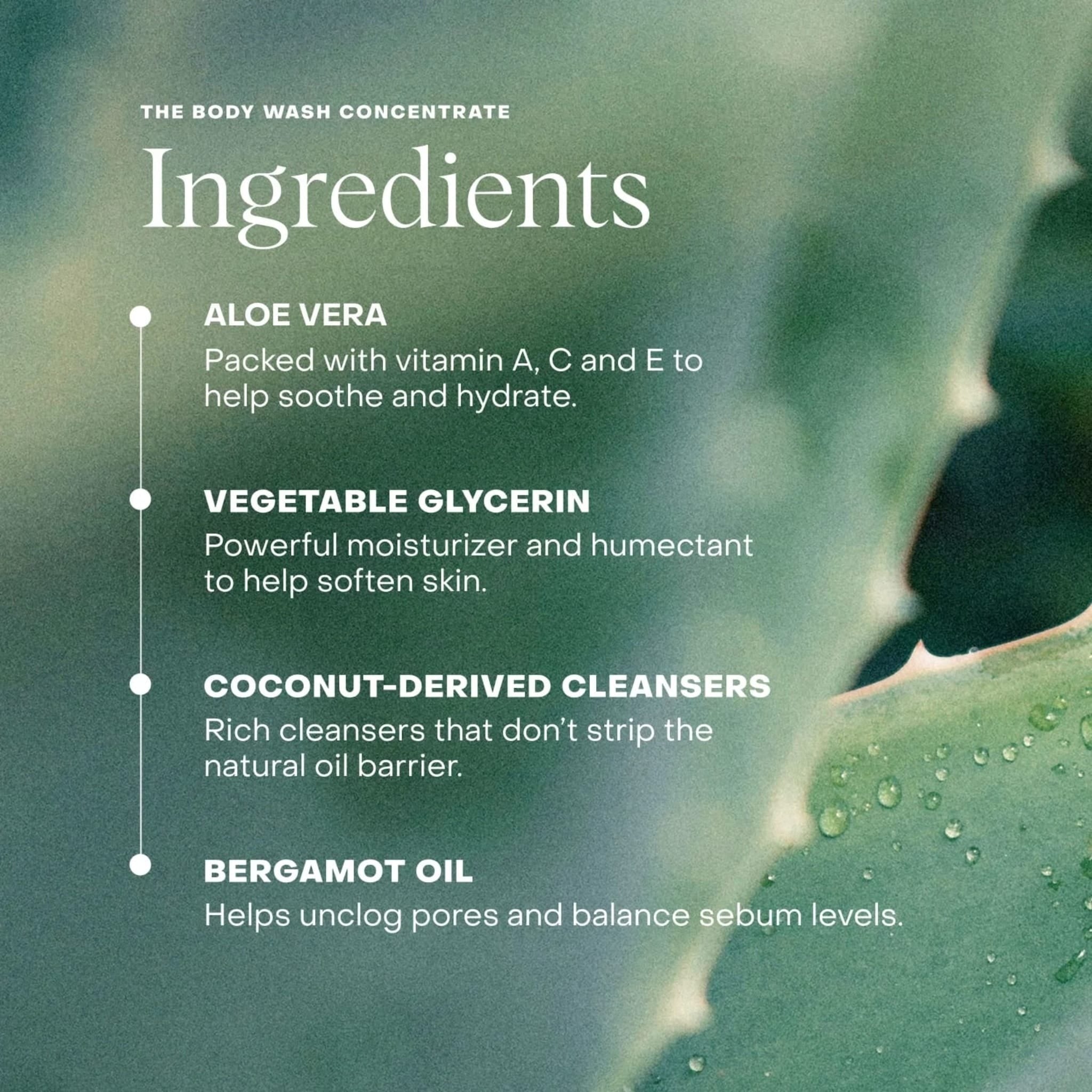 The Body Wash Concentrate
