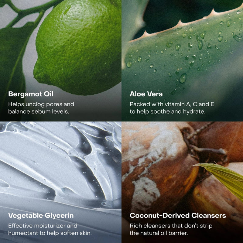 The Body Wash Concentrate