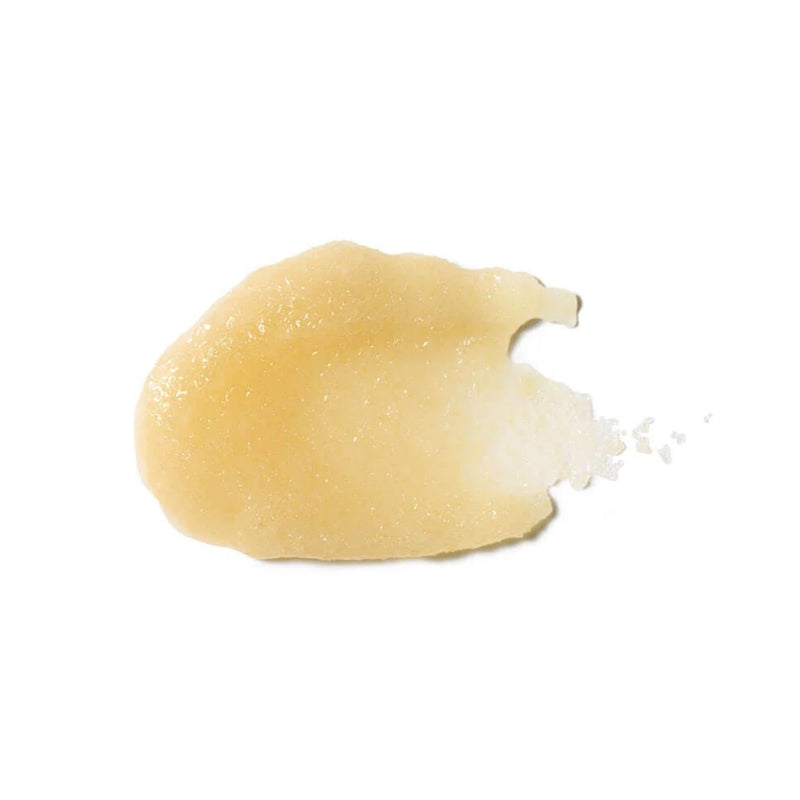 Scalp + Body Exfoliant