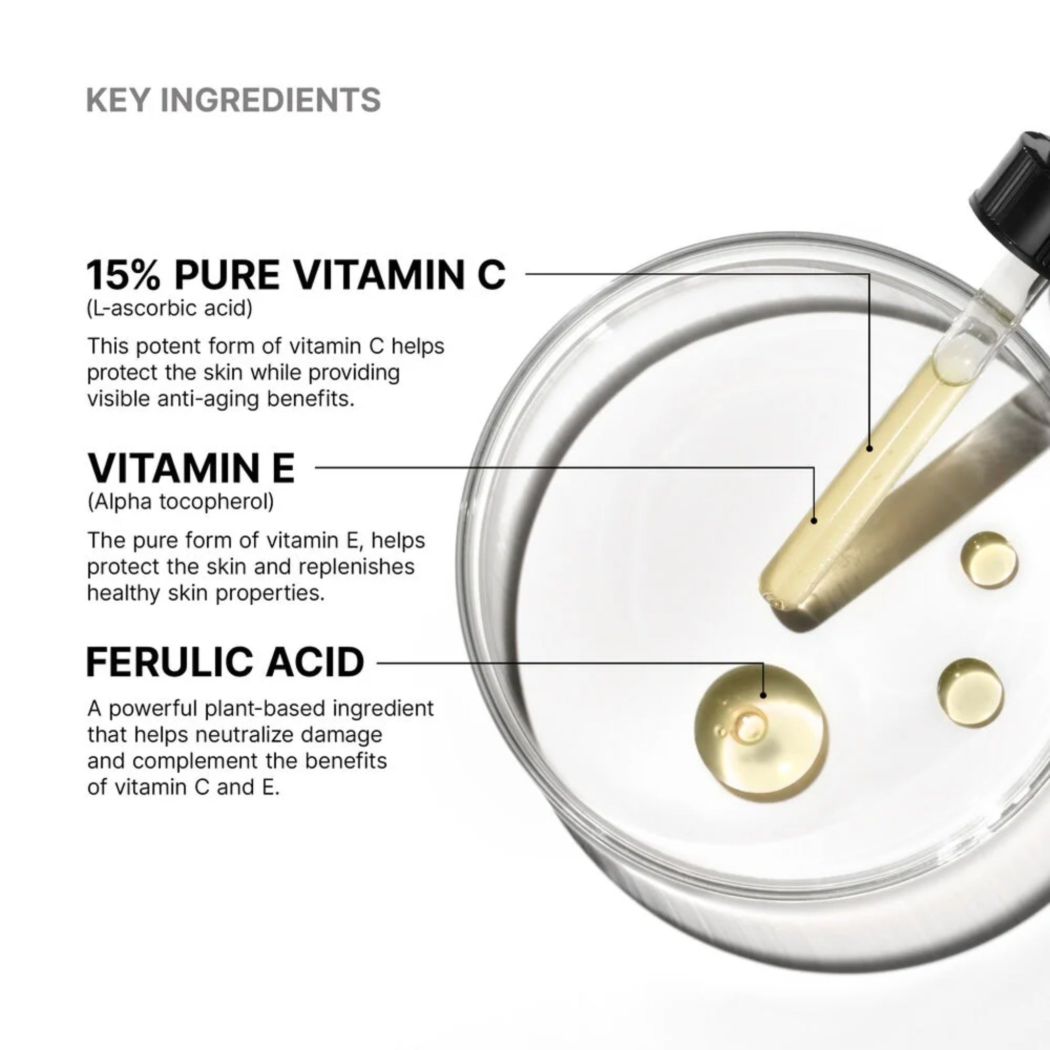 C E Ferulic