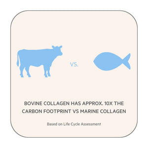 Marine Collagen + Co-Factors - Unflavoured