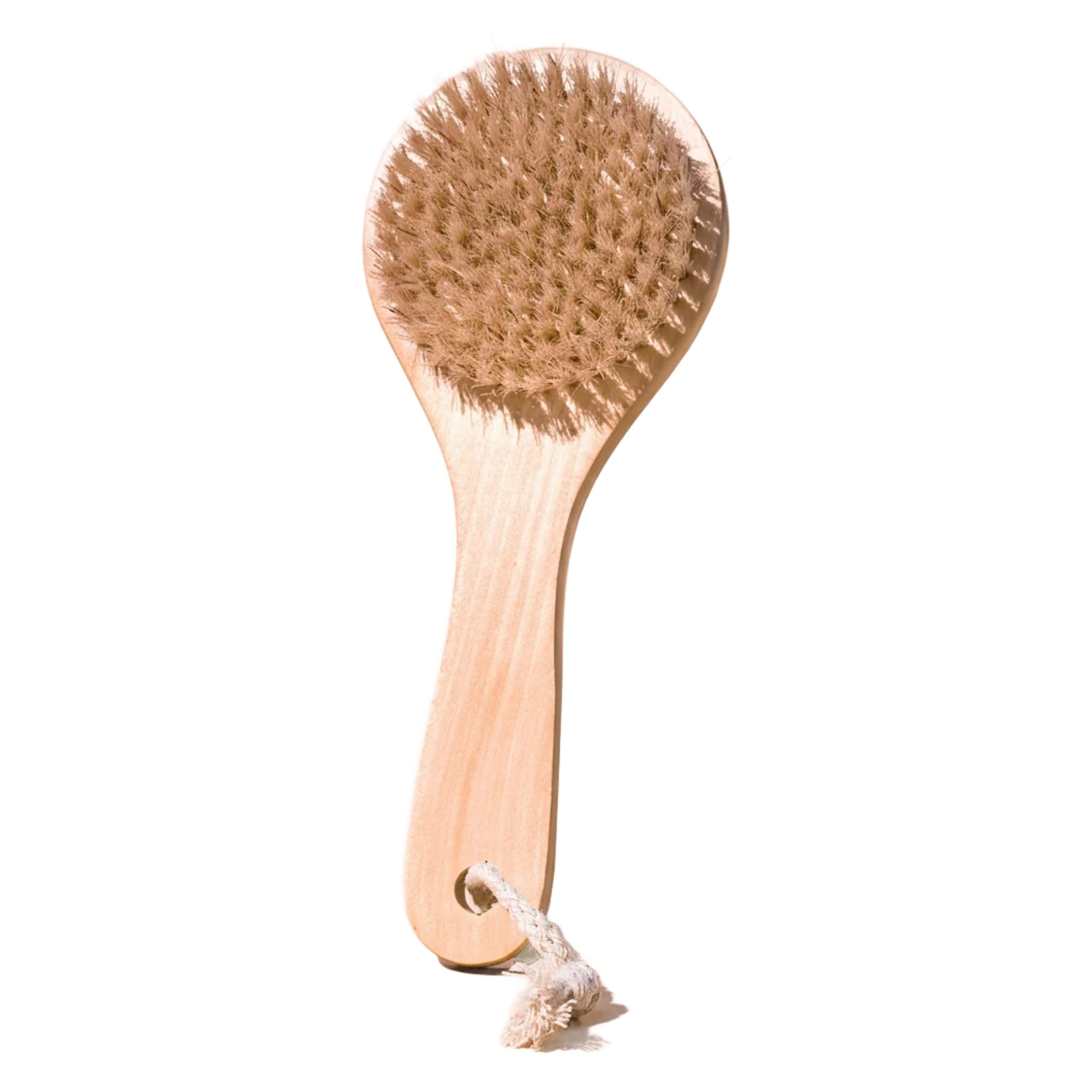 midnight-paloma-body-dry-brush-1