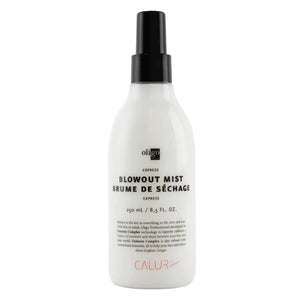 Brume Brushing Séchage Express