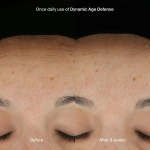 pavise-dynamic-age-defense-1