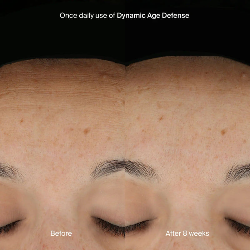 pavise-dynamic-age-defense-1