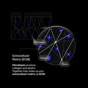 pavise-extracellular-matrix-restore-1