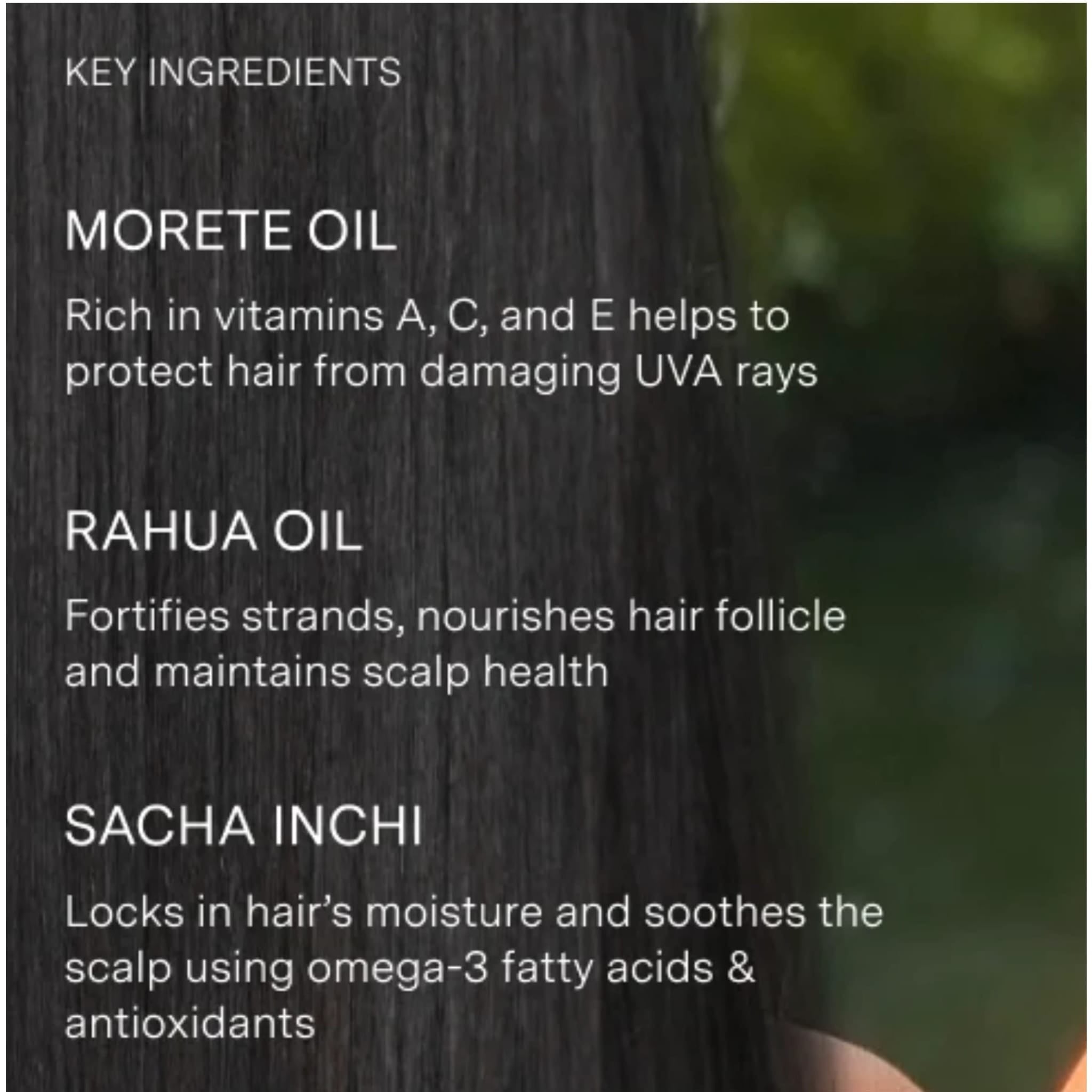 Hydration Shampoo