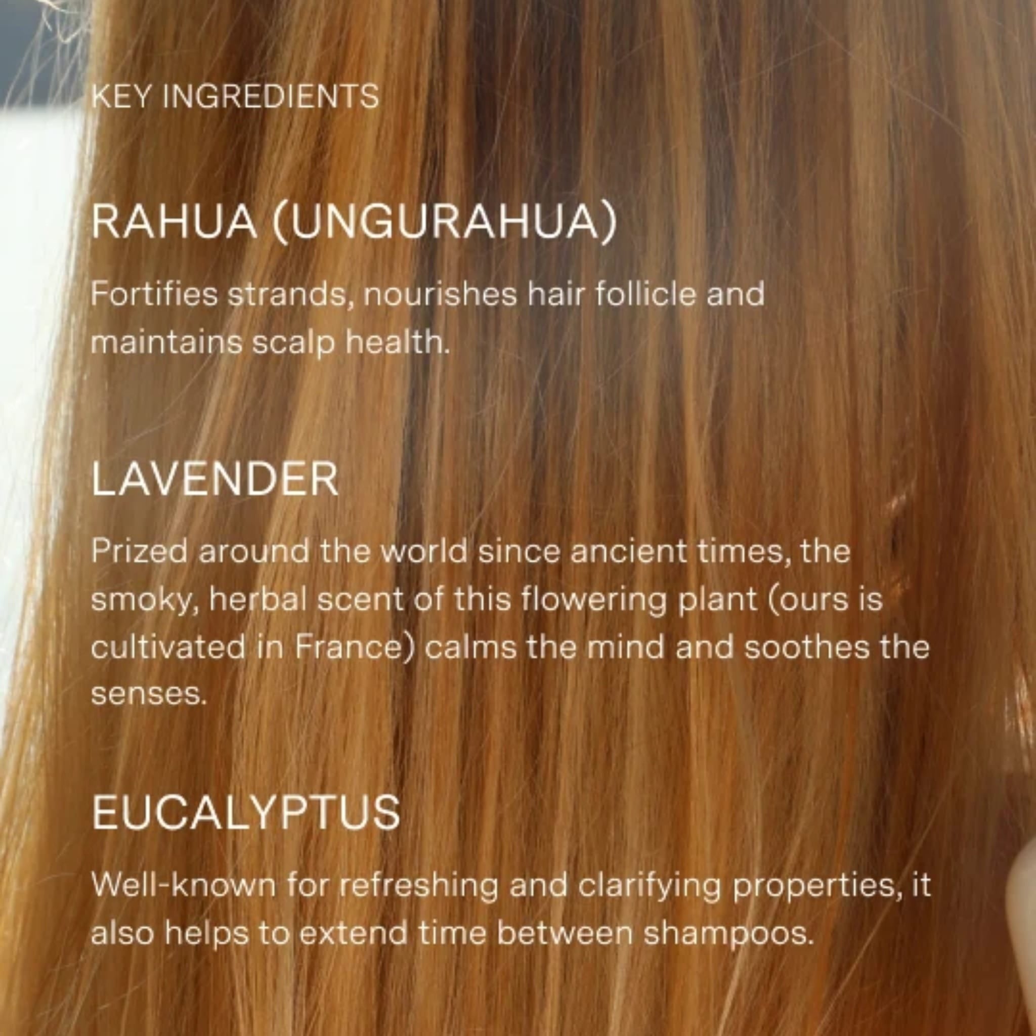 Voluminous Shampoo