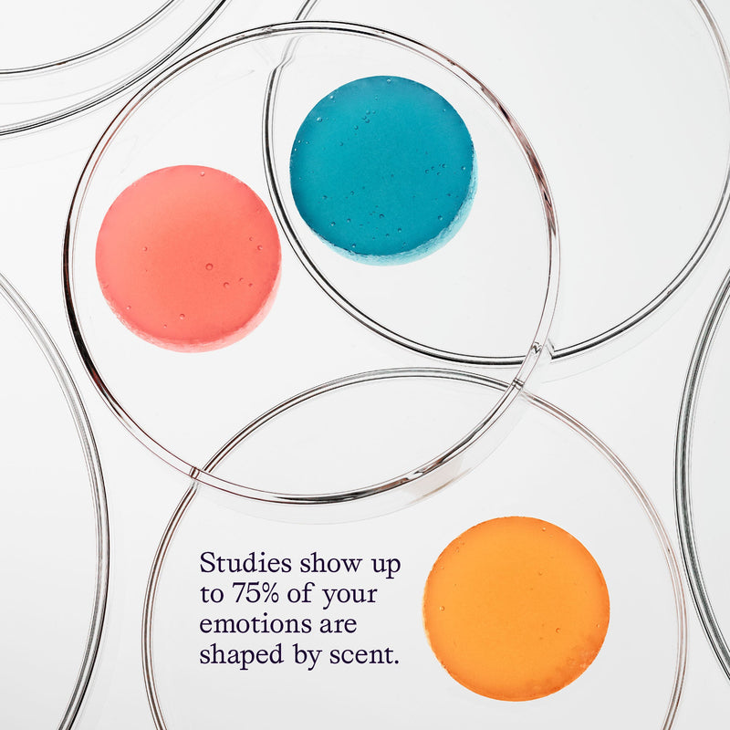 Studies show up to 75% of your emotions are shaped by scent.