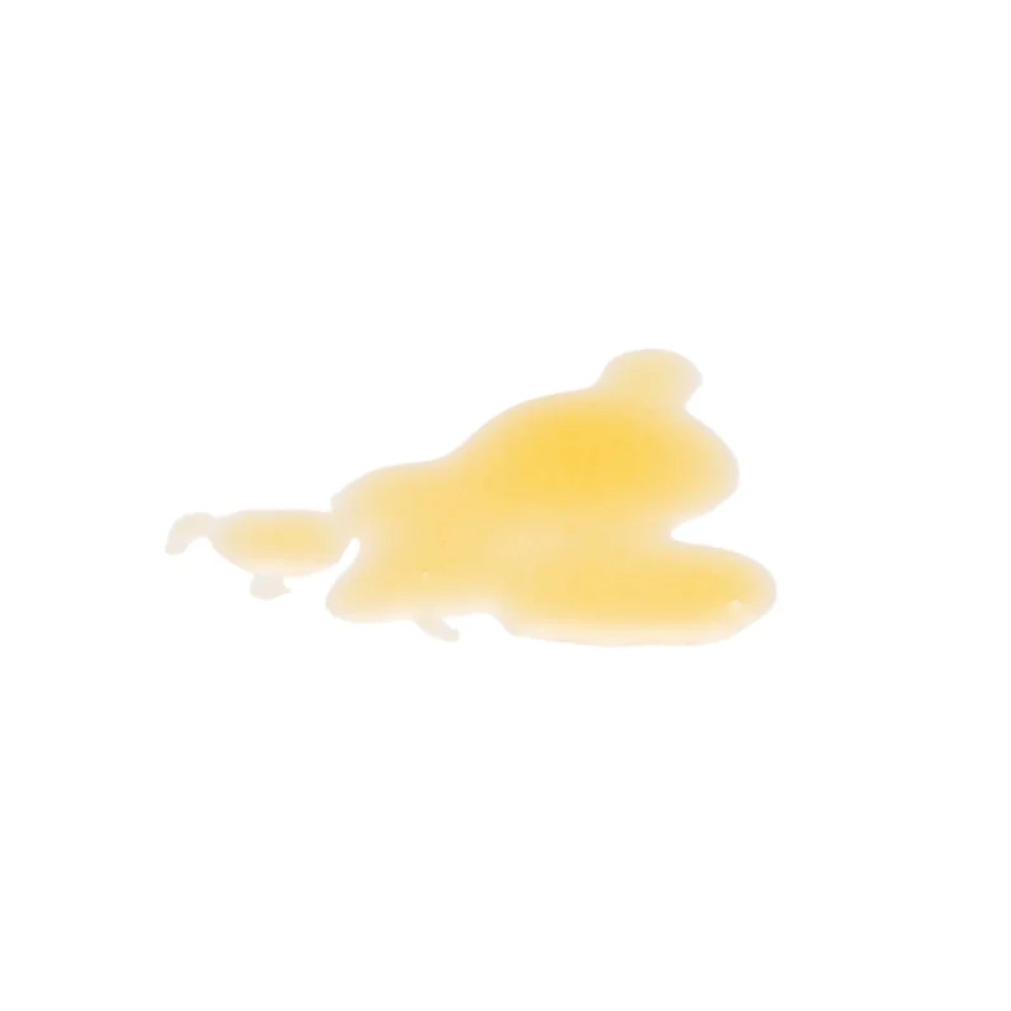 Body Serum