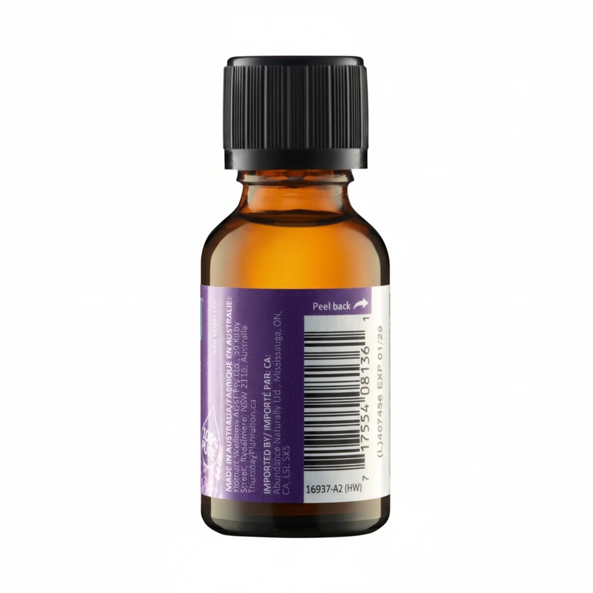 Lavender Oil
