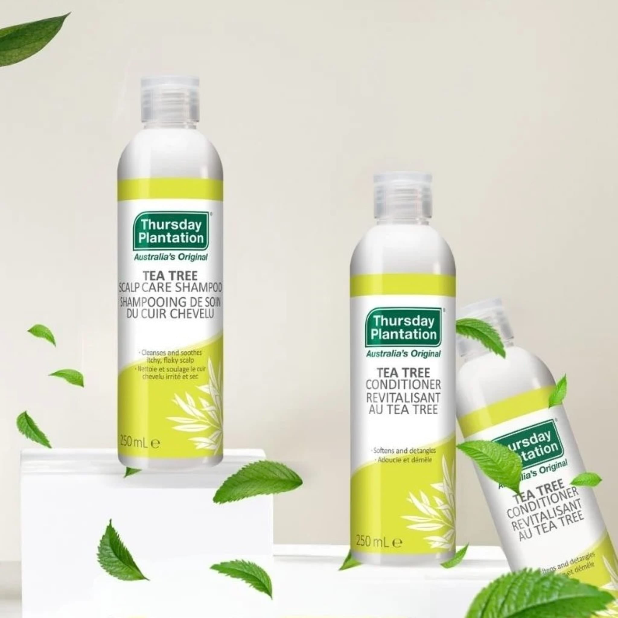 Tea Tree Conditioner