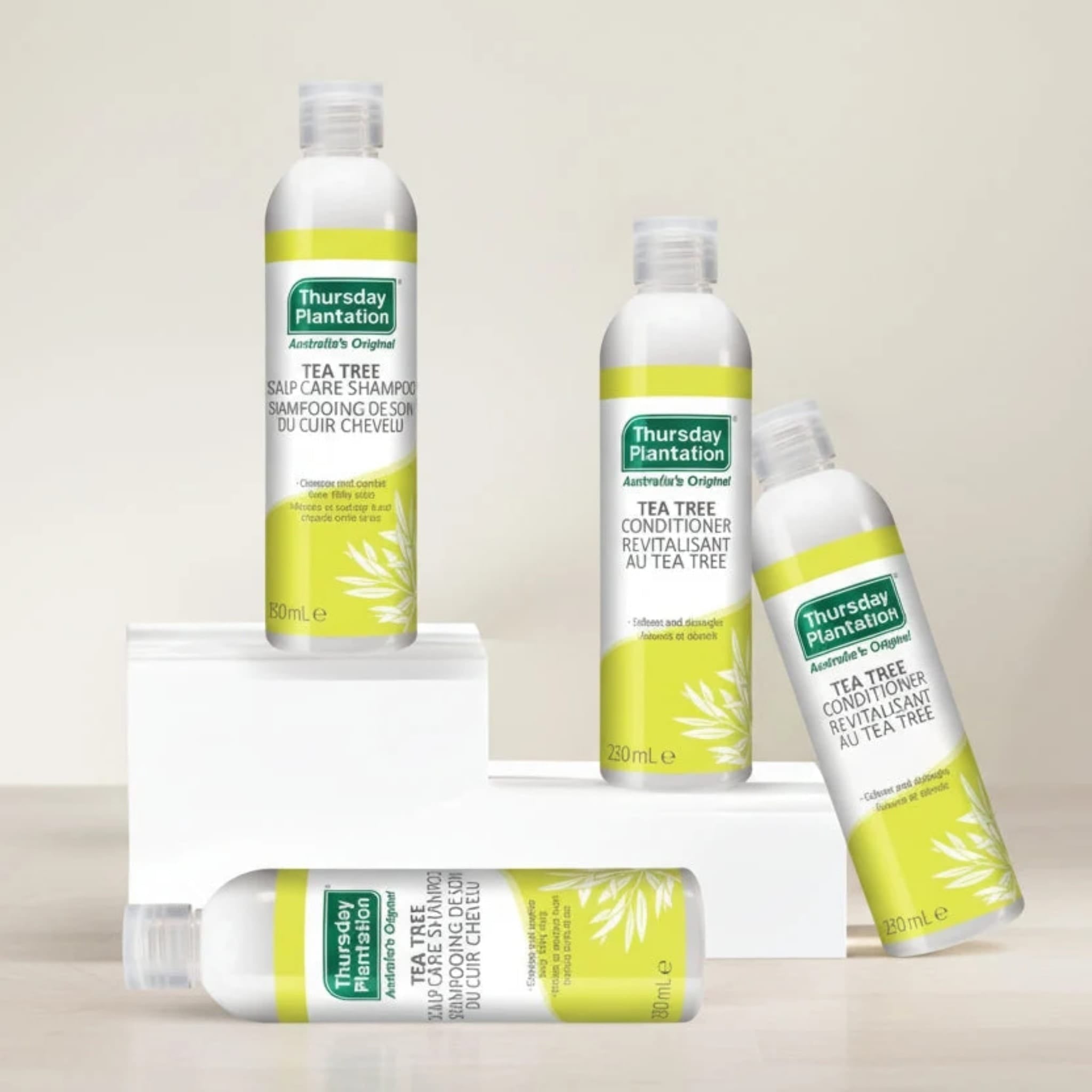 Tea Tree Scalp Care Shampoo