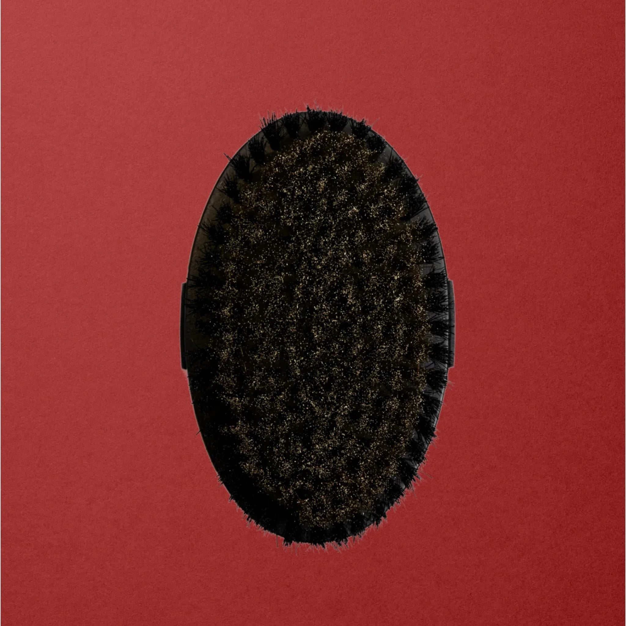Ionic Dry Body Brush