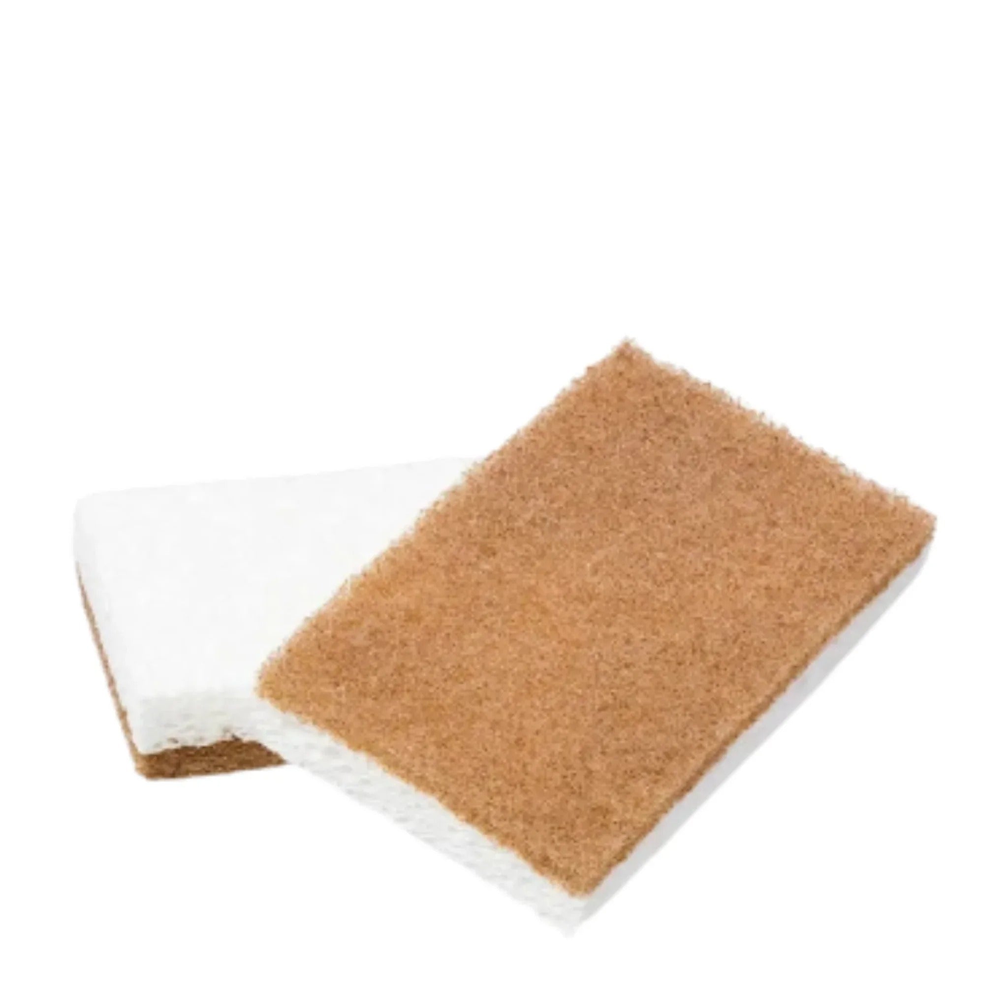 Full Circle | Walnut Scrubber Sponge