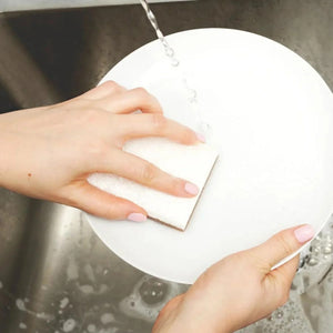 Full Circle | Walnut Scrubber Sponge