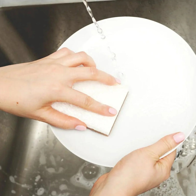 Full Circle | Walnut Scrubber Sponge