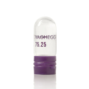 vagheggi-longevity-intensive-treatement-kit-1
