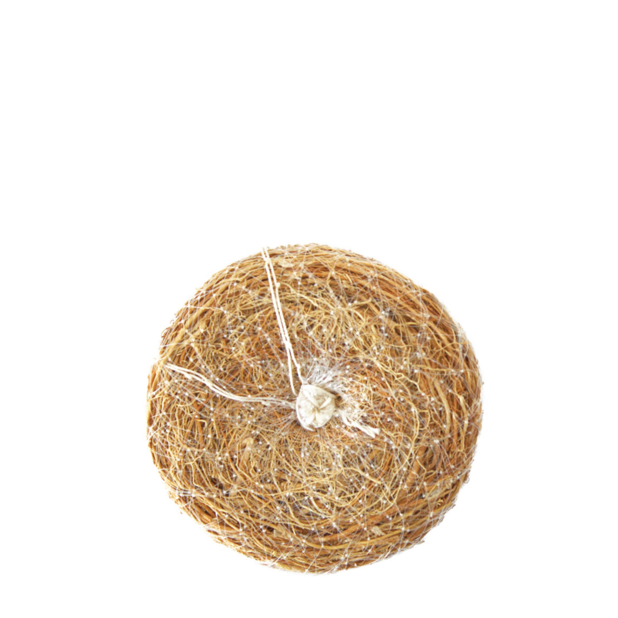 Éponge Exfoliante