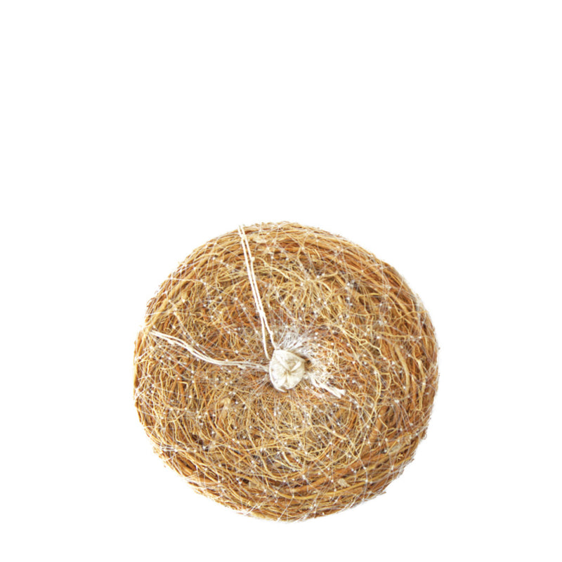 Éponge Exfoliante